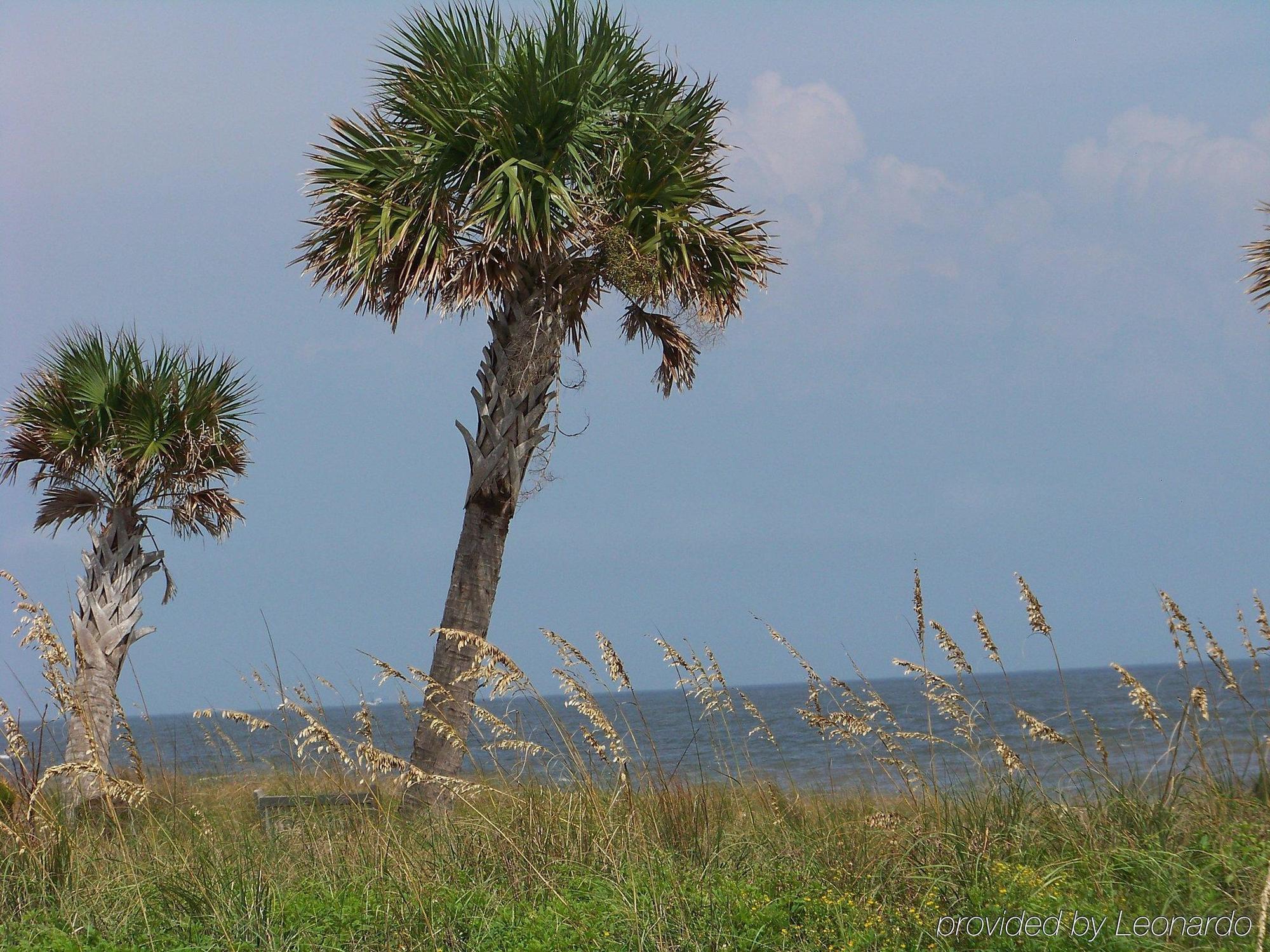 Holiday Inn Express Saint Simons Island By Ihg St. Simons Island Eksteriør bilde
